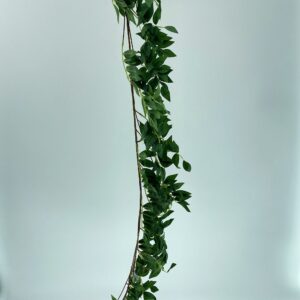 RG08 Rattan bean leaves 2 colors available (pre-order)