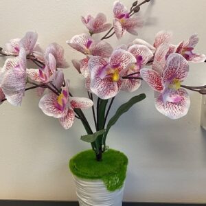 BS24 Bunch Phalaenopsis small, 2 colors available