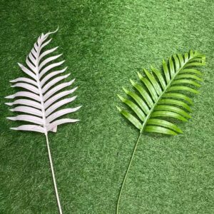 GL52: Areca palm
