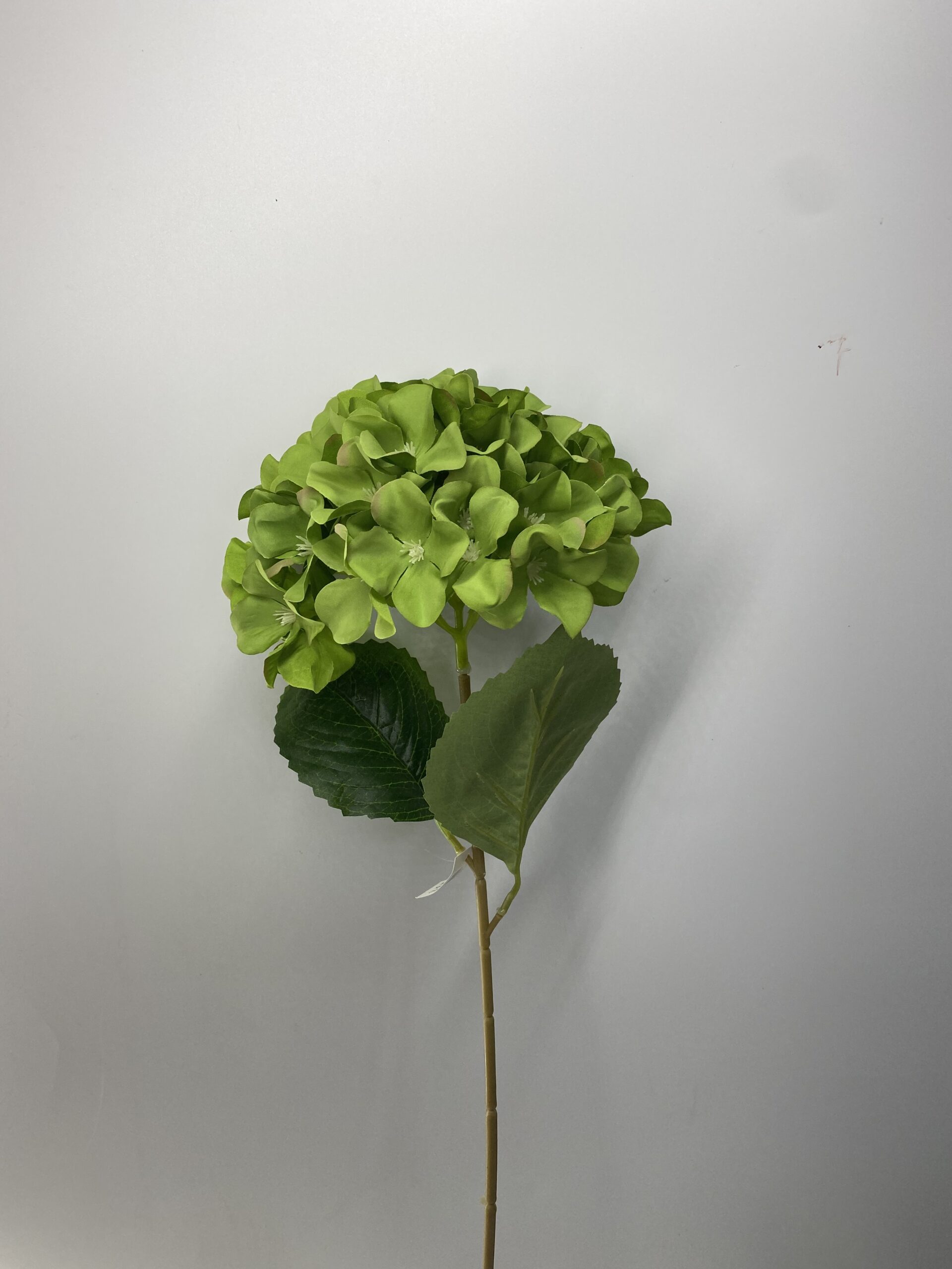 图片_20230406131809