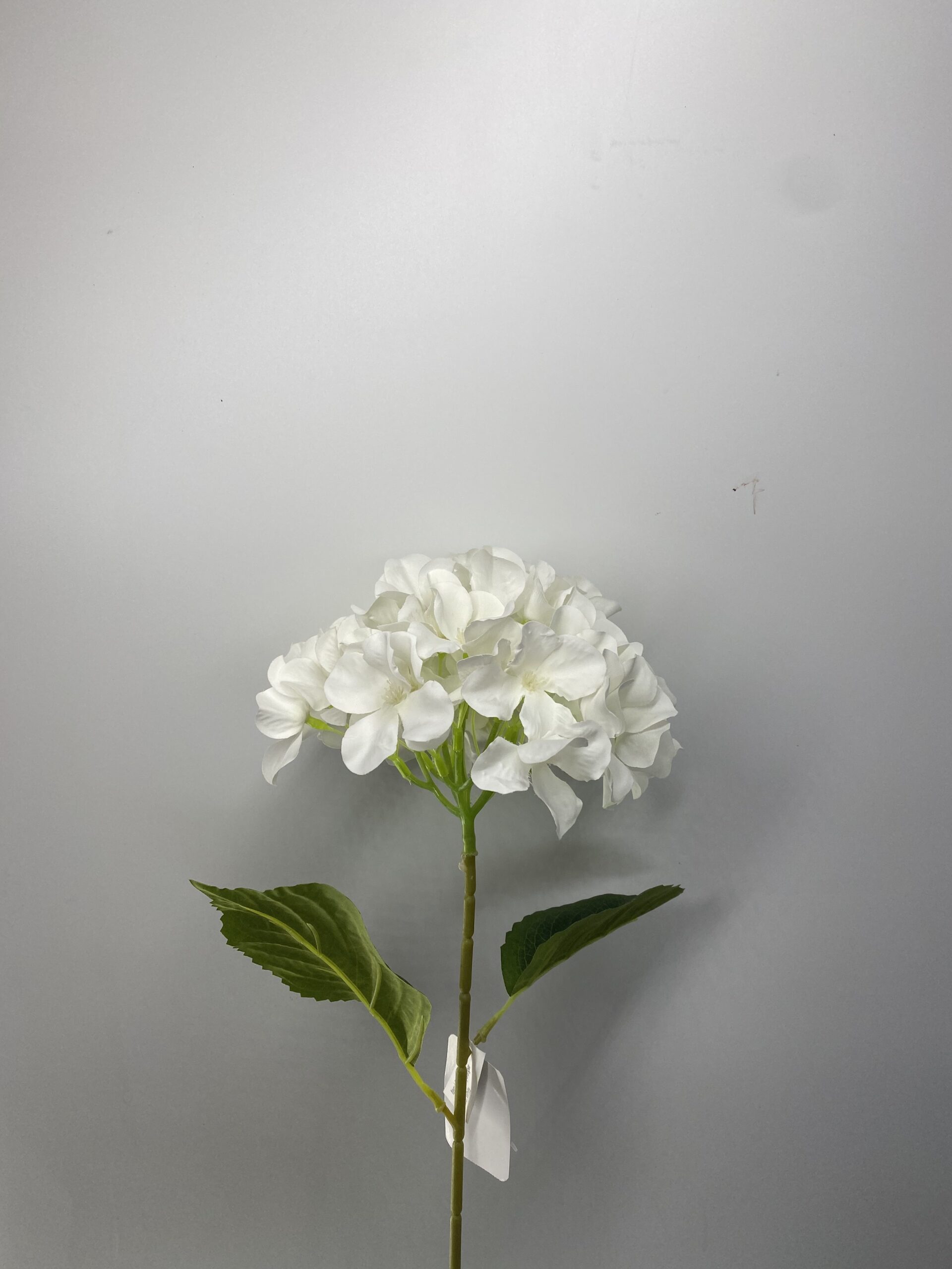 图片_20230406131828