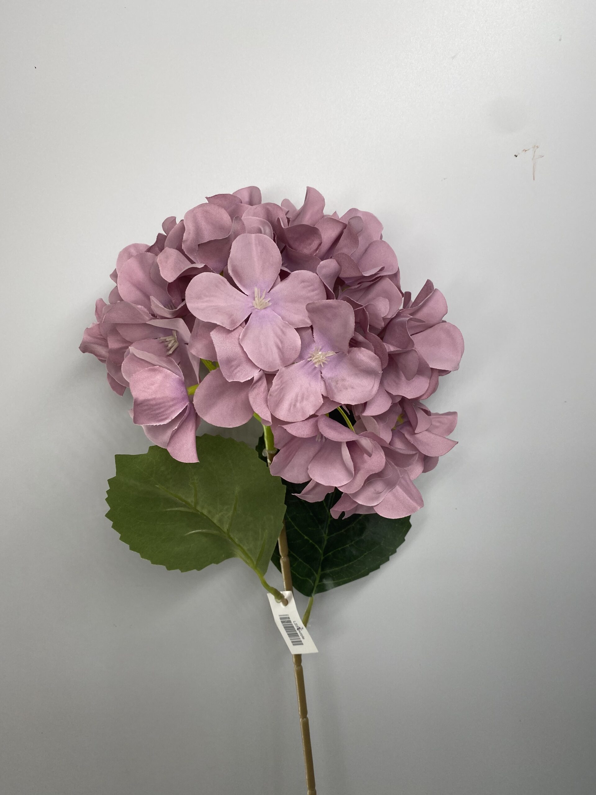 图片_20230406131843