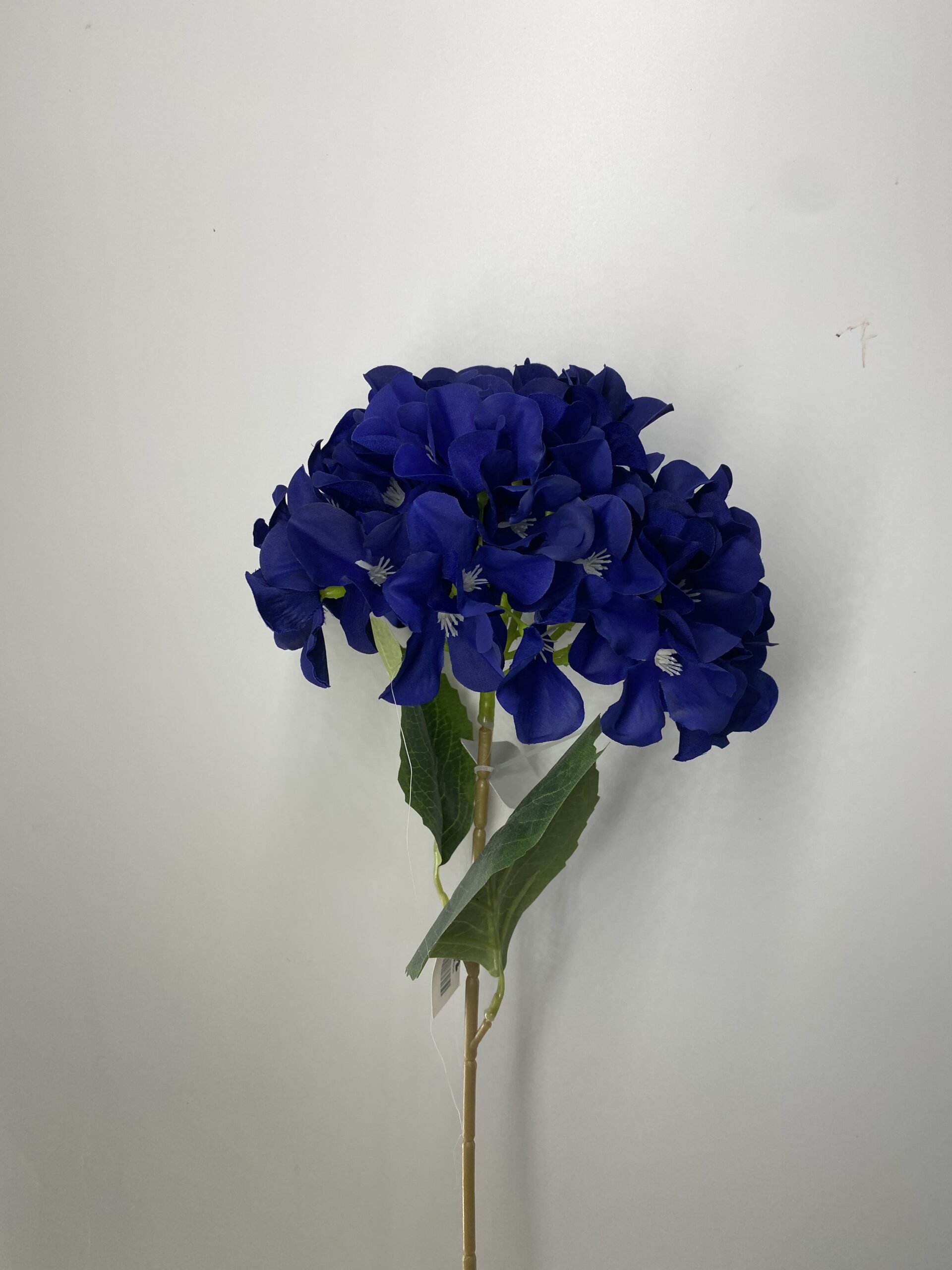 图片_20230406131903