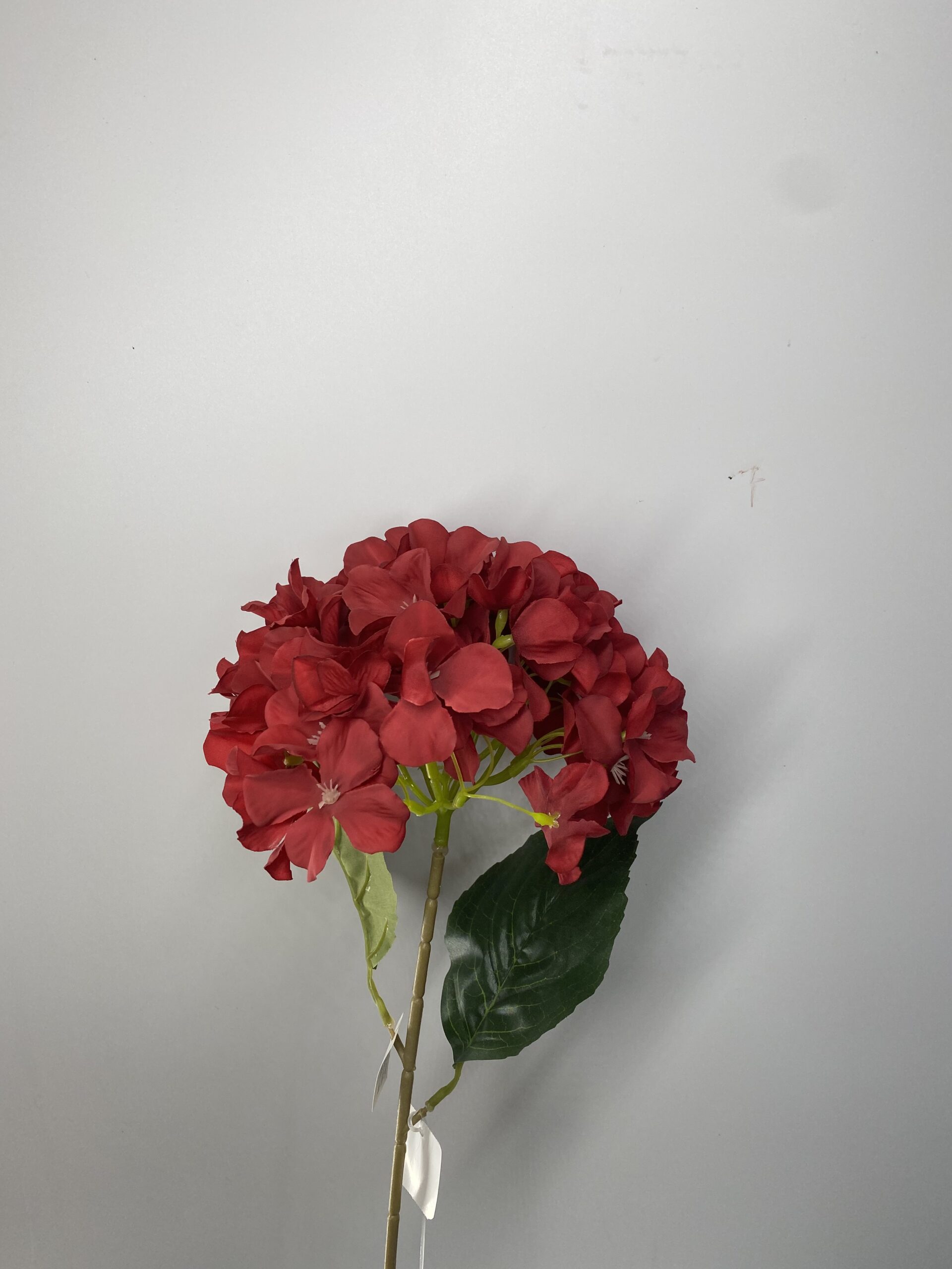 图片_20230406131915