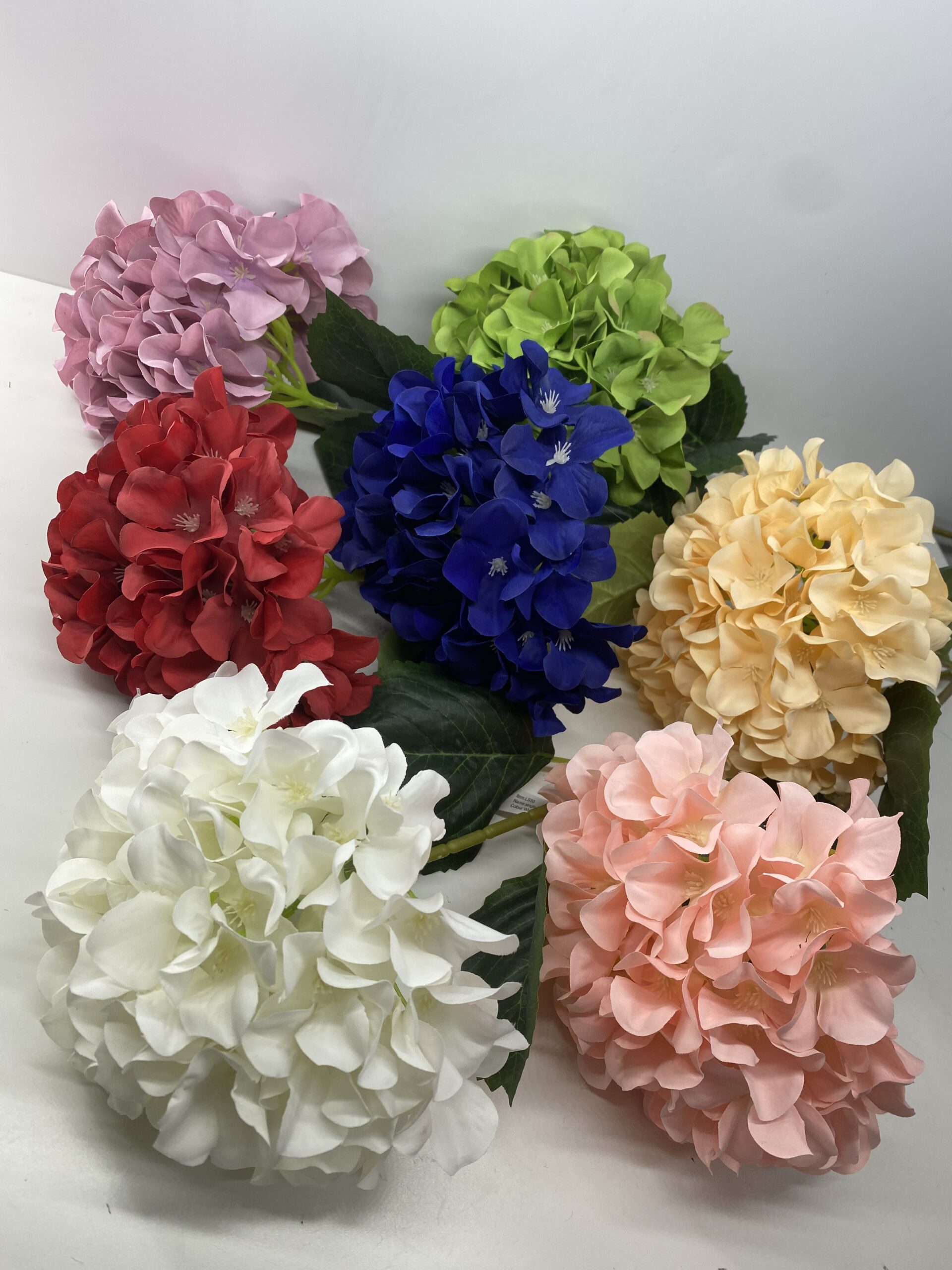 图片_20230406131931