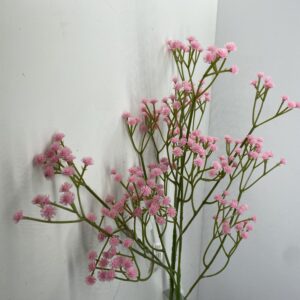 LM37 Baby breath in pink