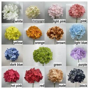 LS64 single stem hydrangea