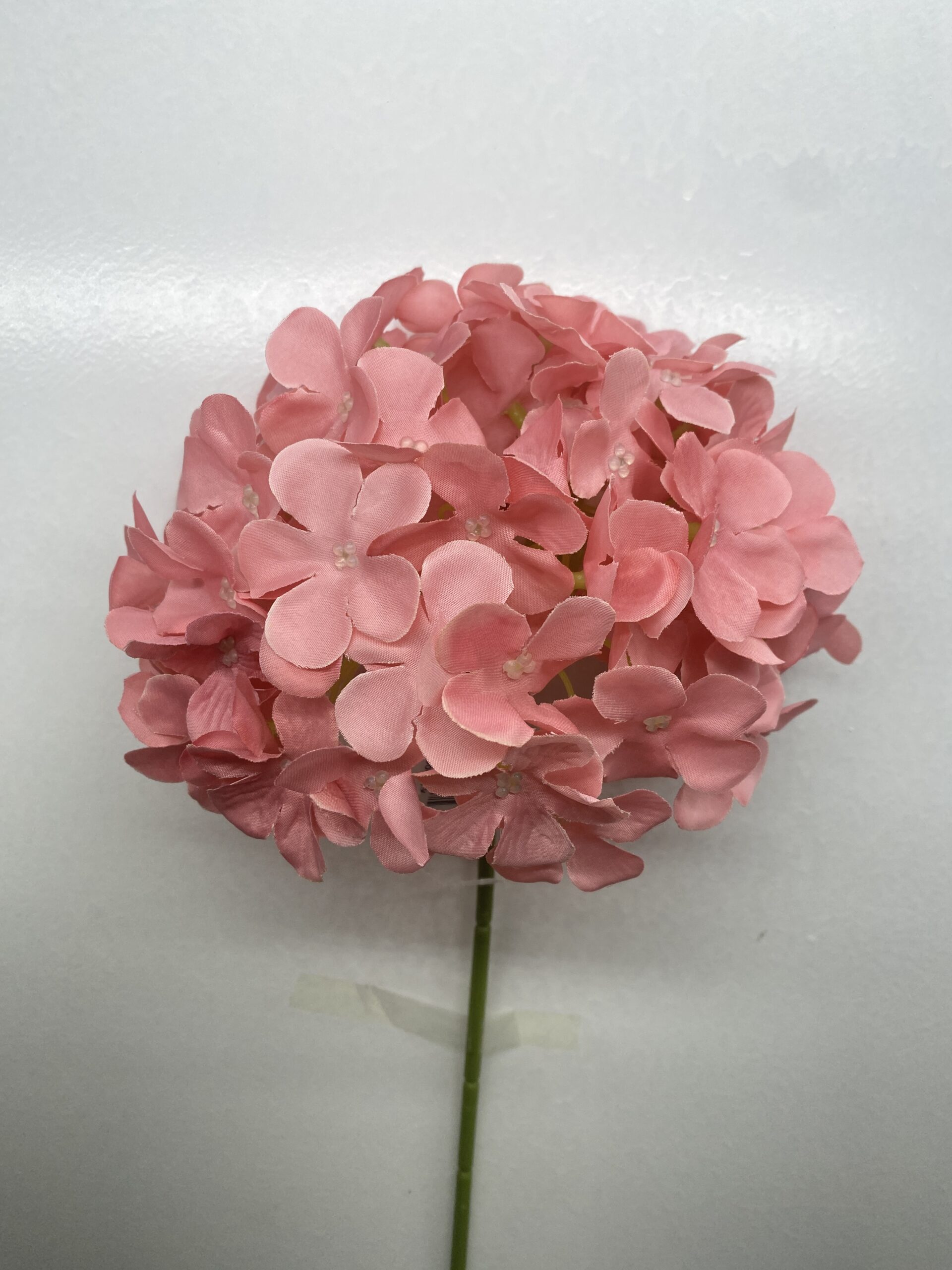 图片_20260127113642