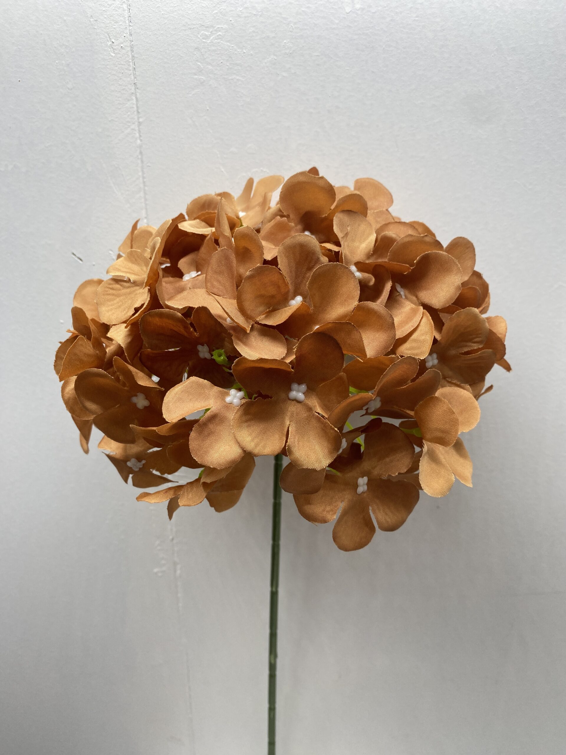 图片_20260127113700