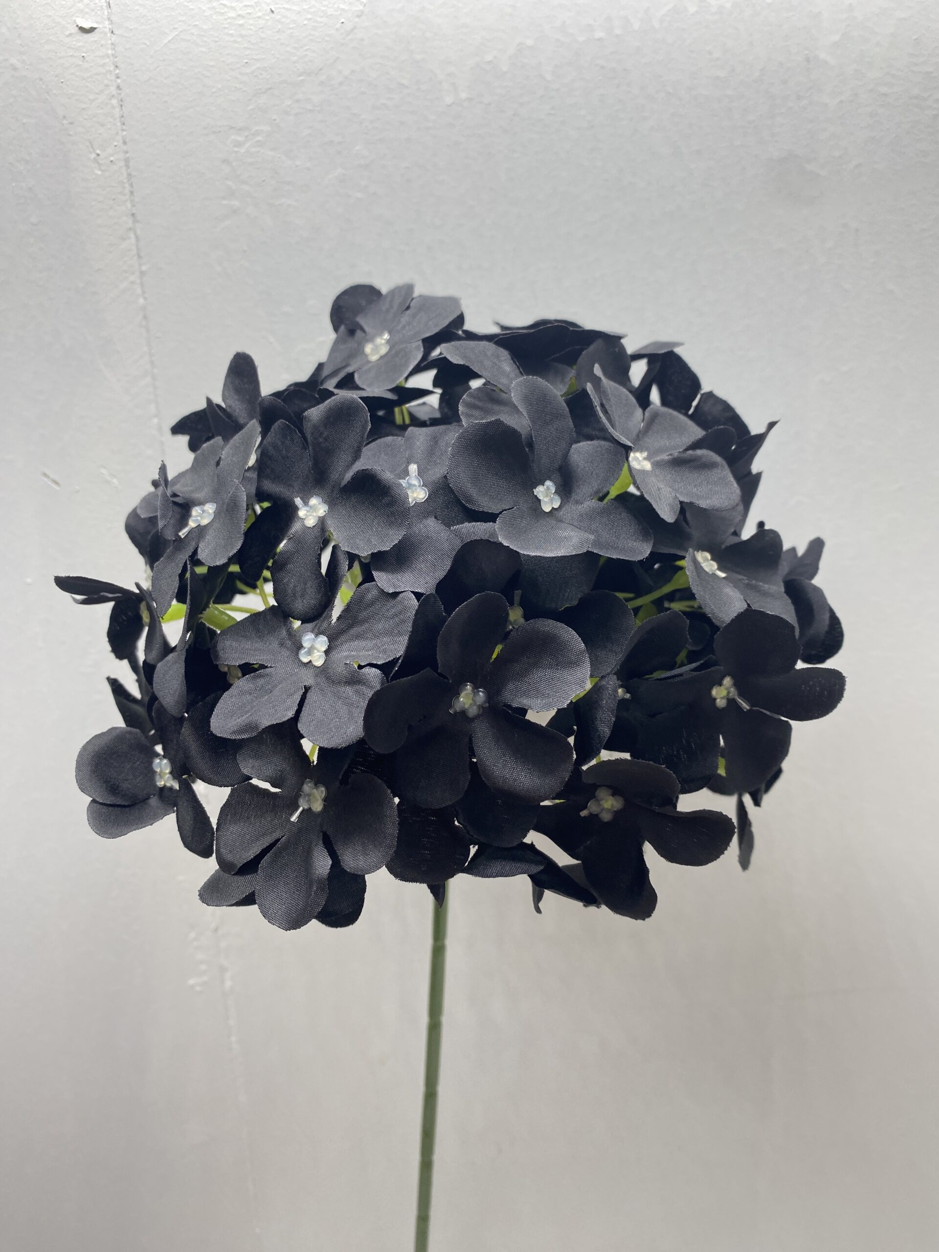 图片_20260127114000