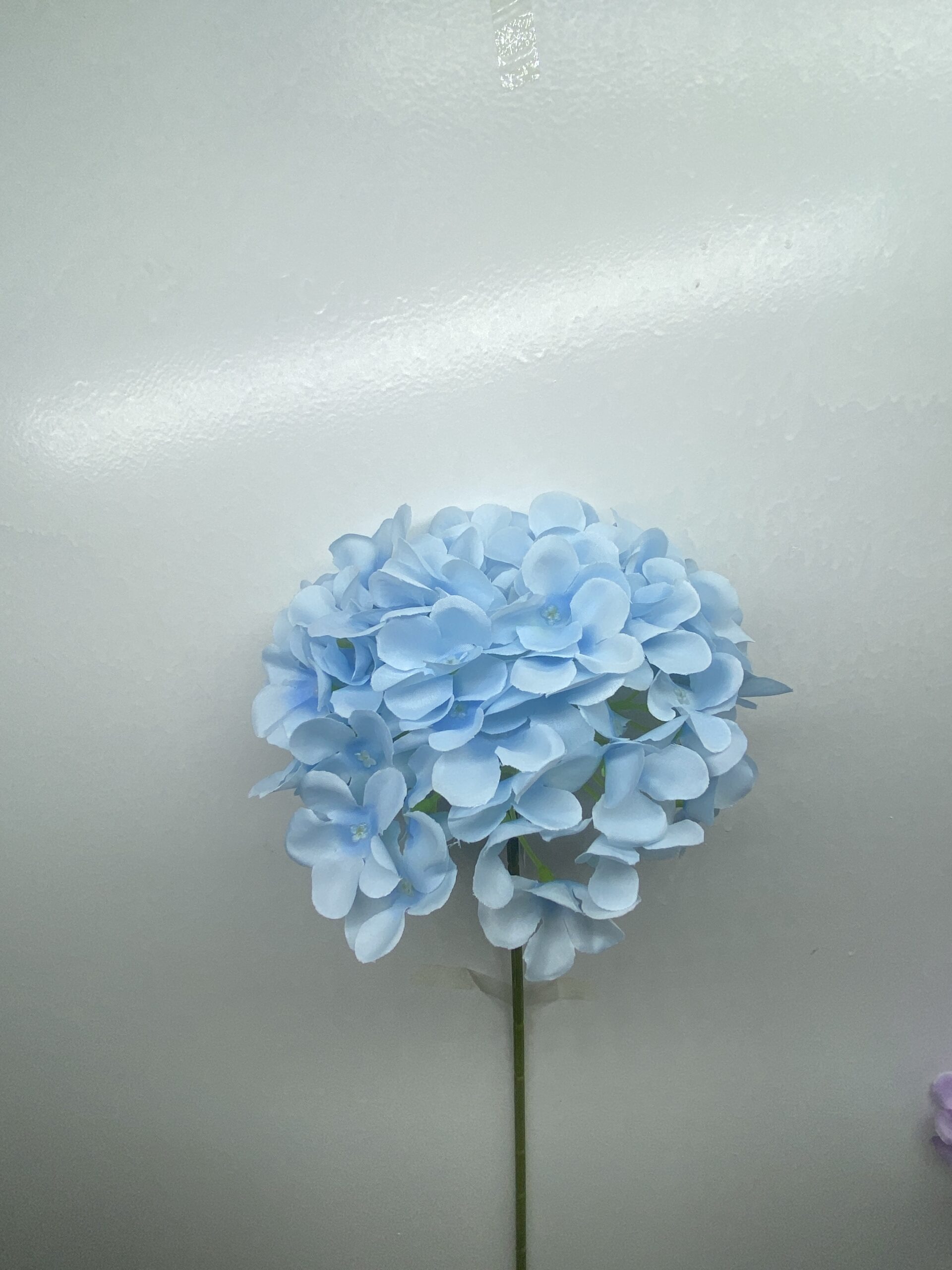 图片_20260127114003