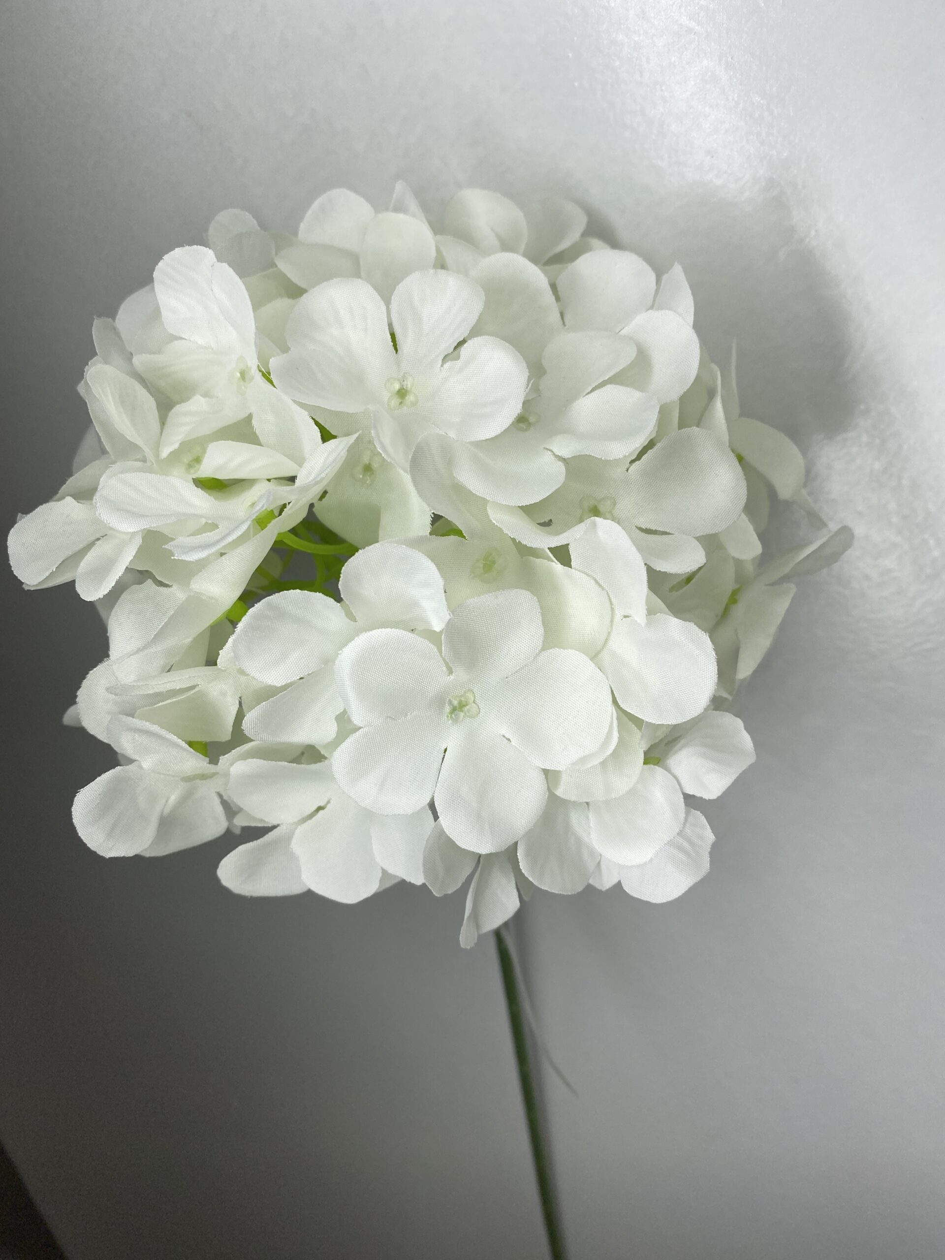 图片_20260127114007