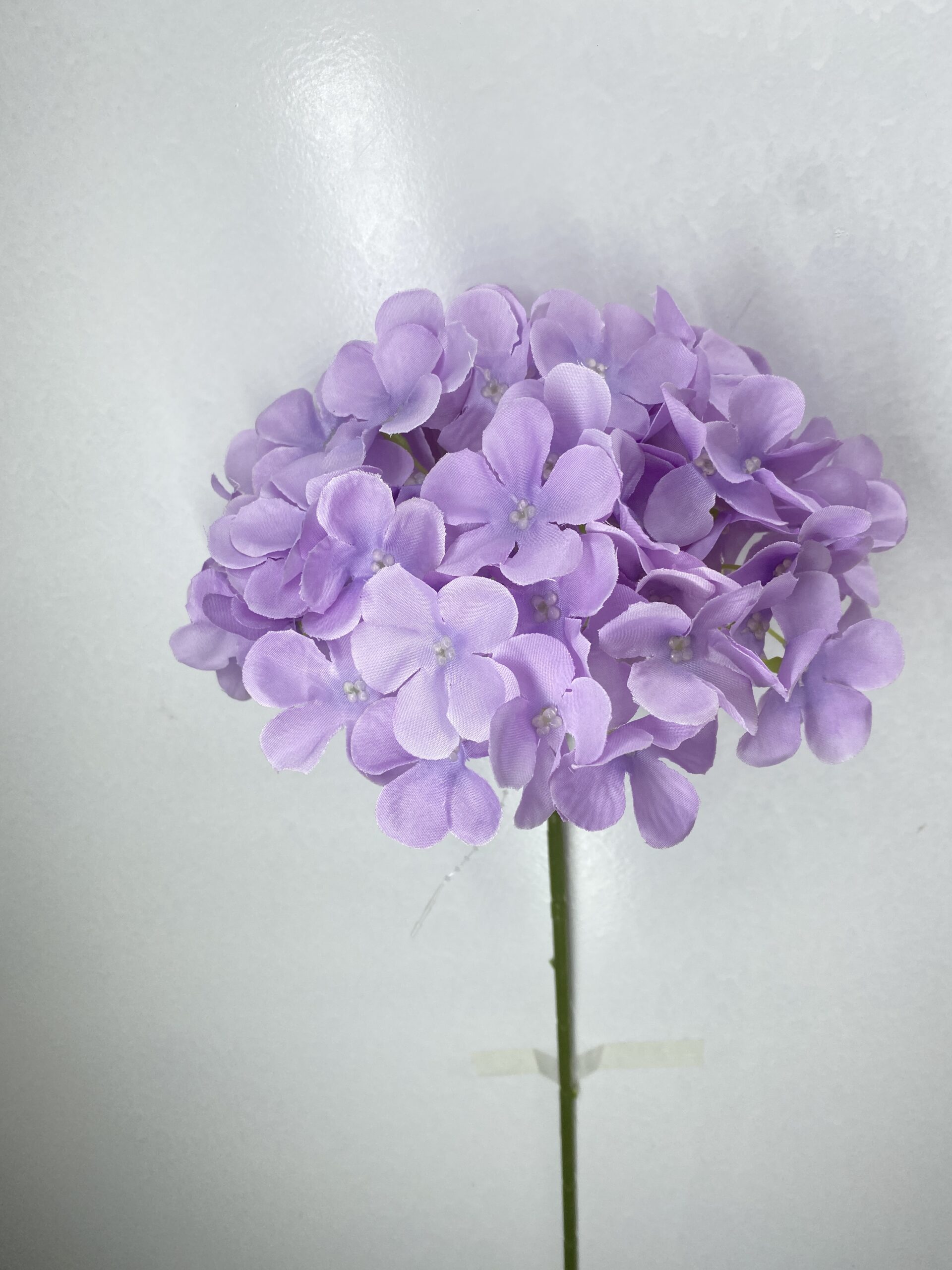 图片_20260127114012