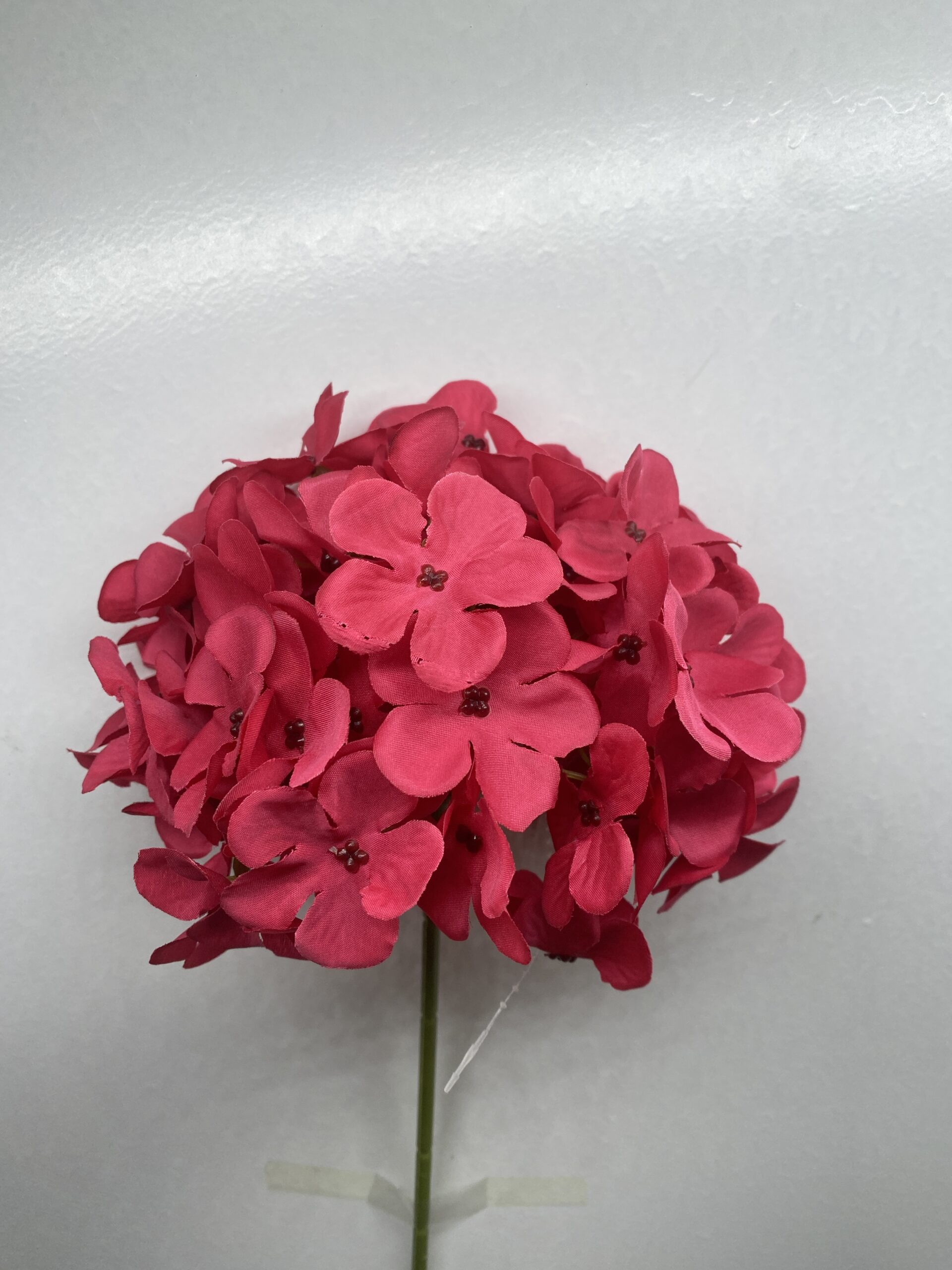 图片_20260127114029