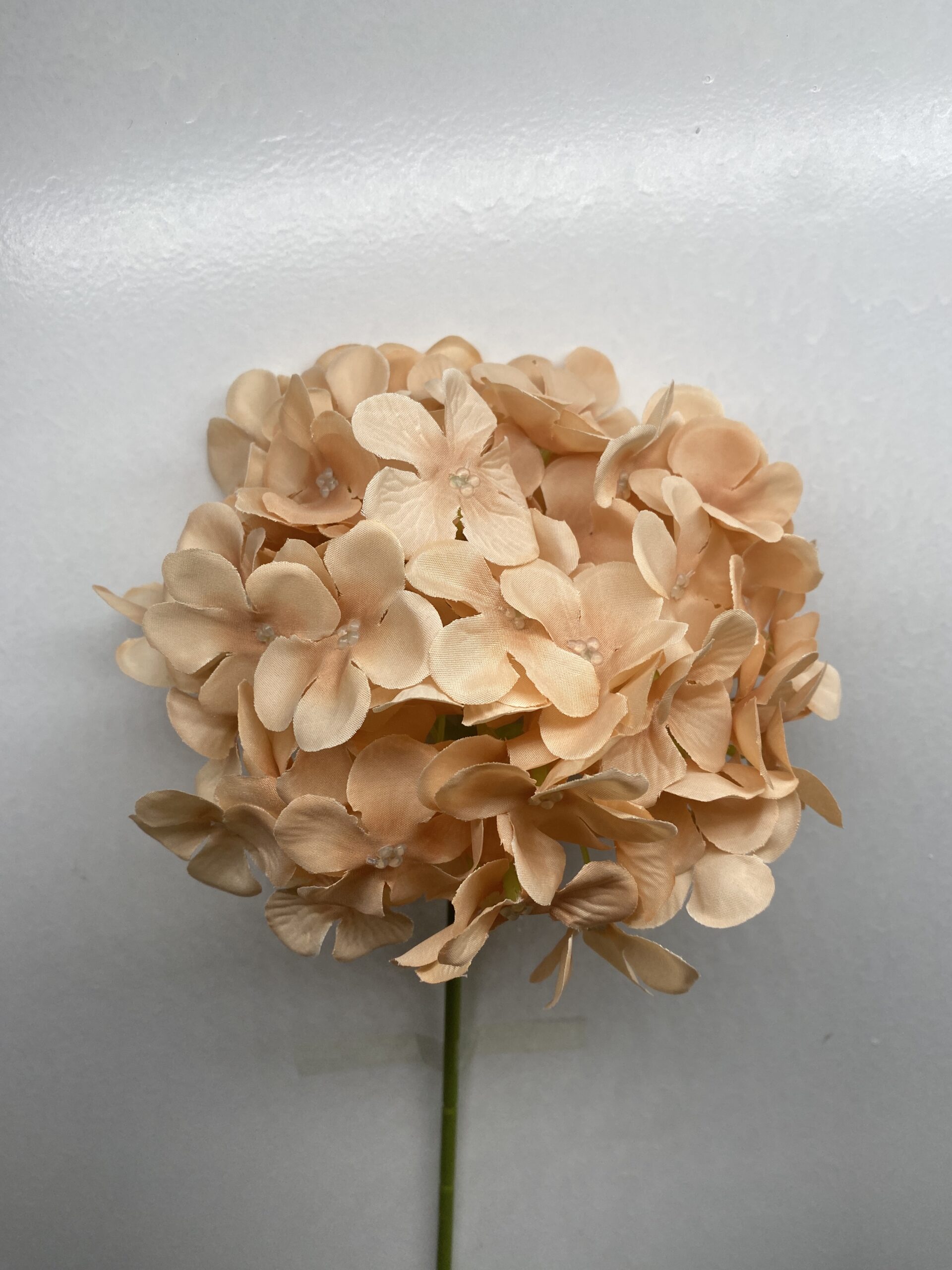 图片_20260127114033