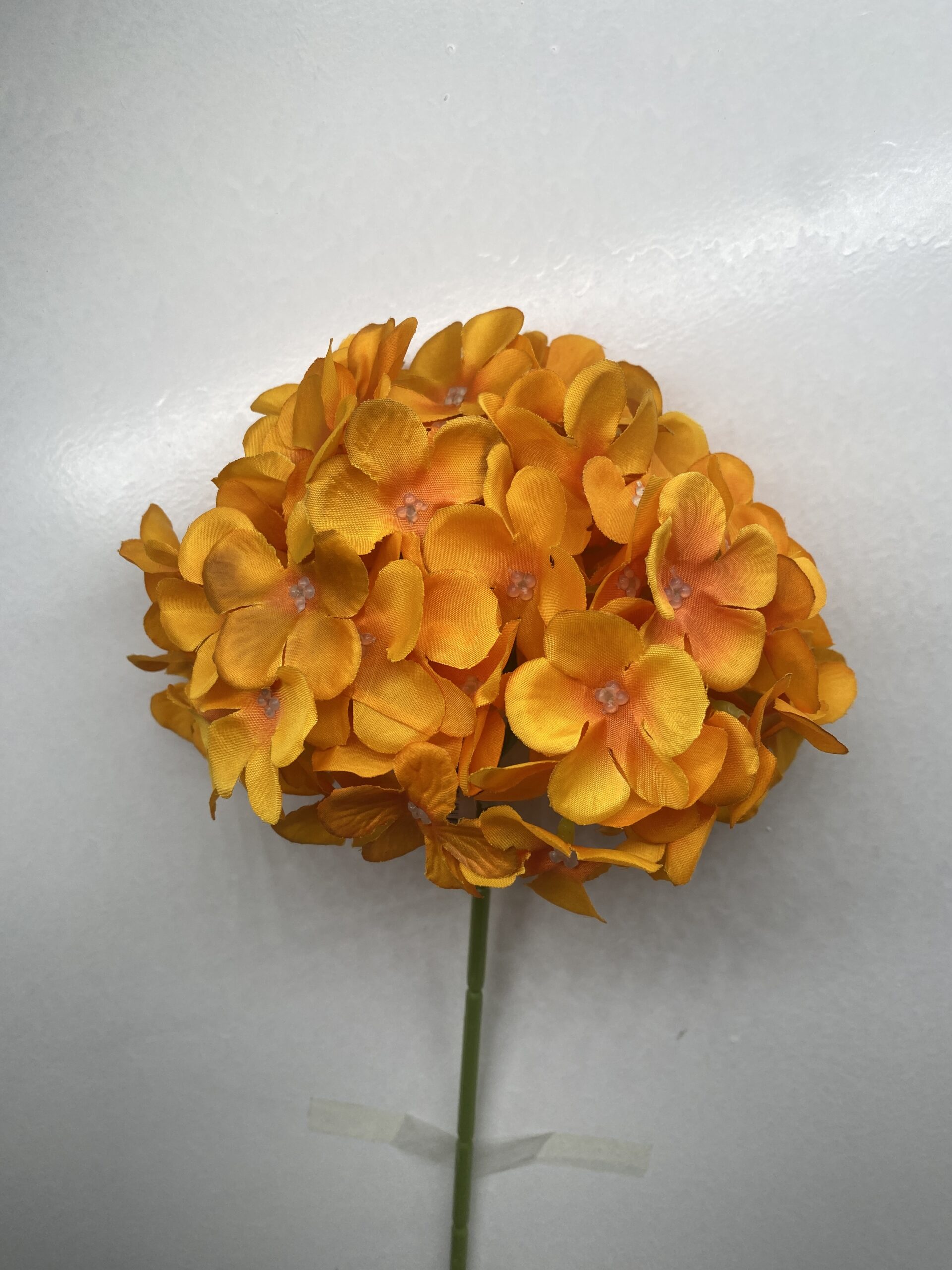 图片_20260127114040