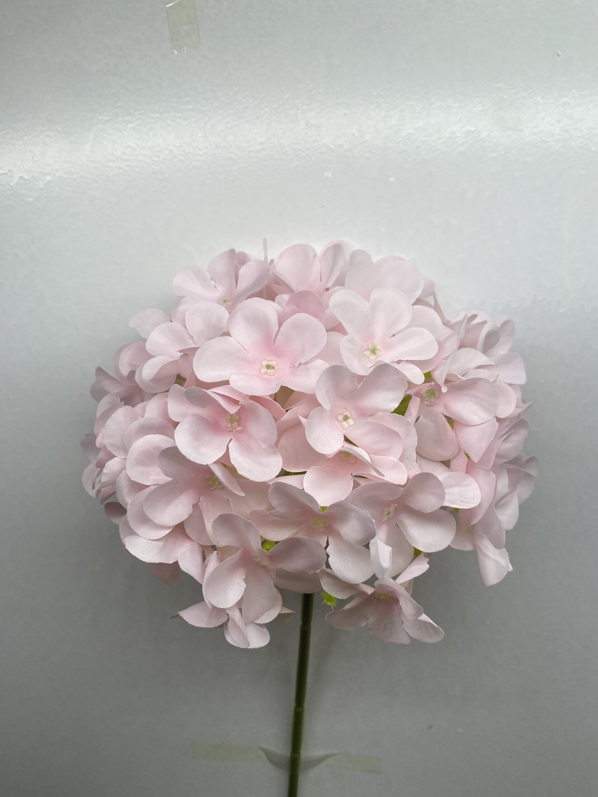 图片_20260127114051