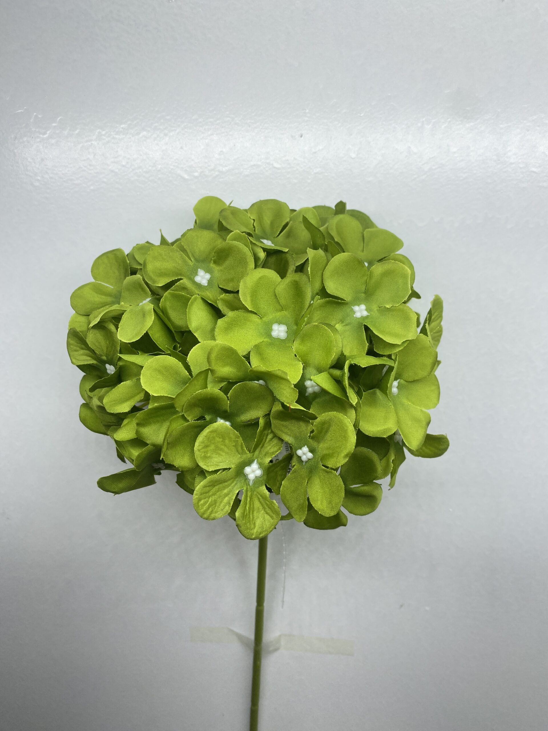 图片_20260127114055