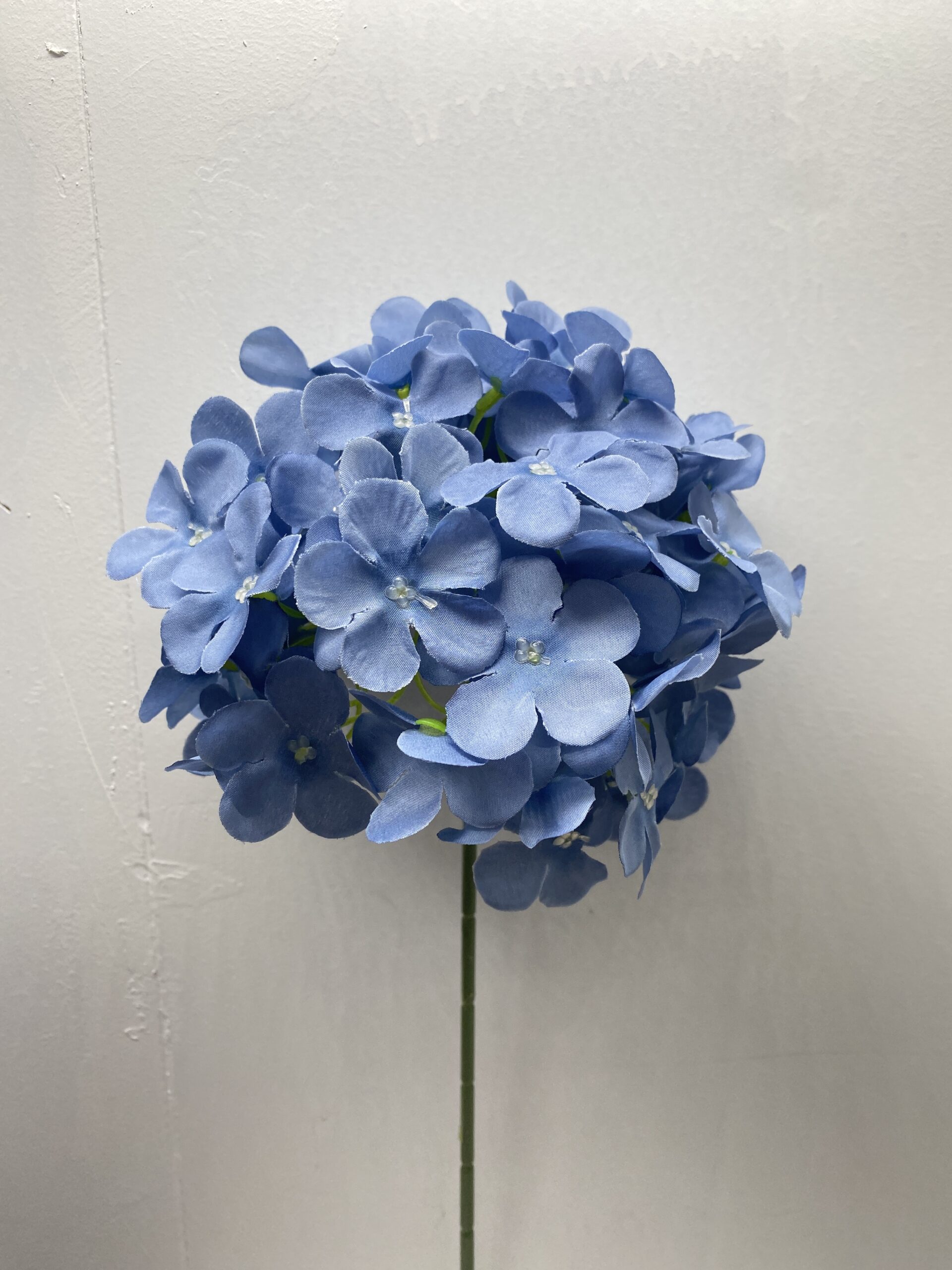 图片_20260127114058