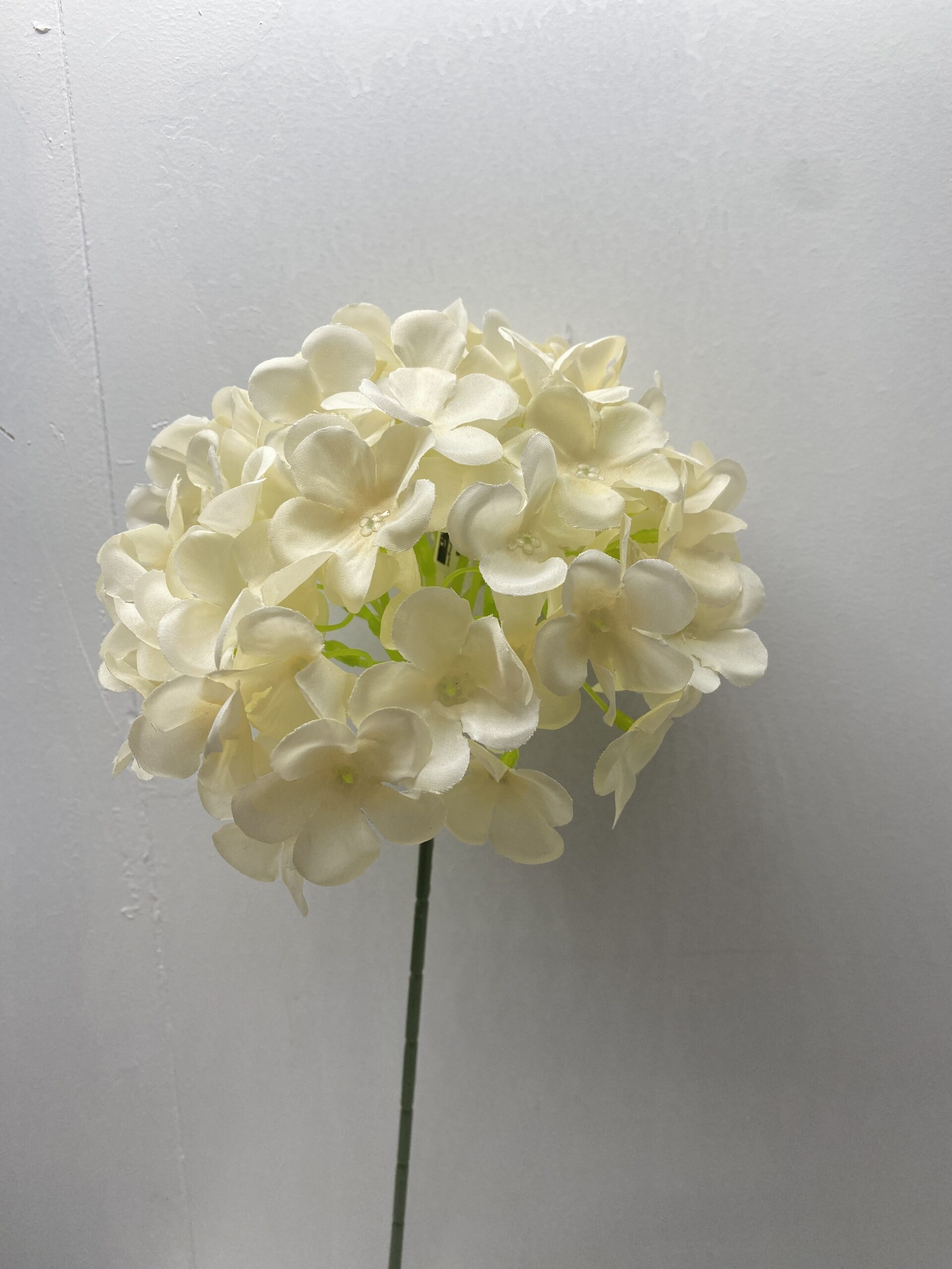 图片_20260127114102