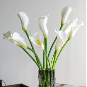 LS69 Calla Lily