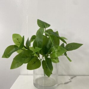 GS59 pothos leaves