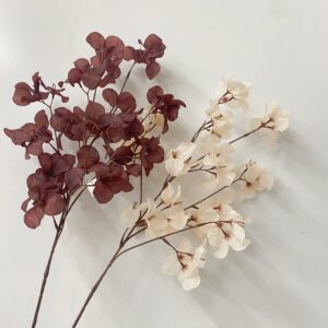 7045 Bougainvillea