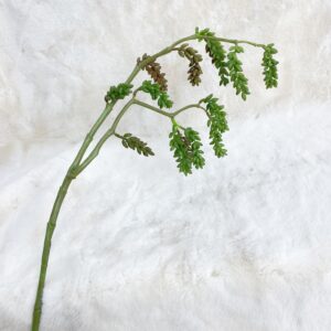 6204 Real touch succulent with 3 forks