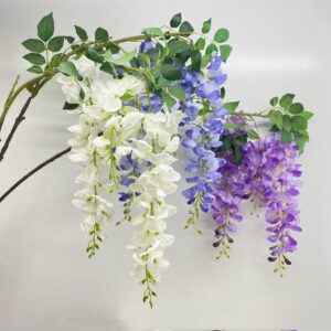 7076 Hanging wisteria