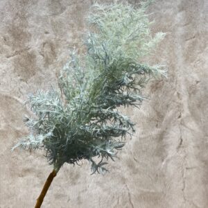 6925 Blue Astilbe in single stem