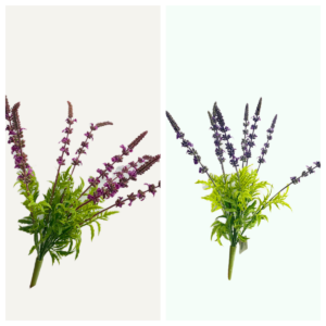 7013 Lavender in bunch