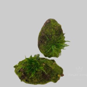 6174 Moss block