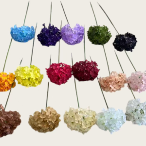 LS68 single stem hydrangea