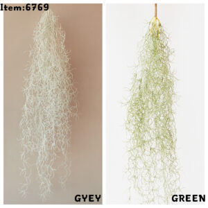 6769 Spanish moss