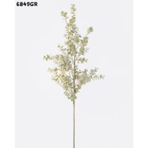 6849 Eucalyptus in grey