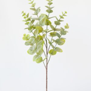 7015 Eucalyptus spray in green/grey