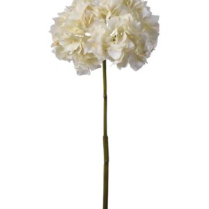 7247 single hydrangea in white